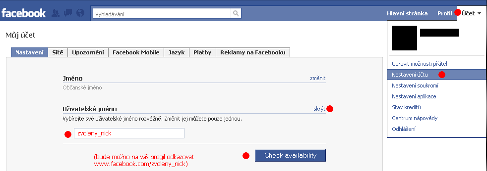 Soubor:Fb nick.png
